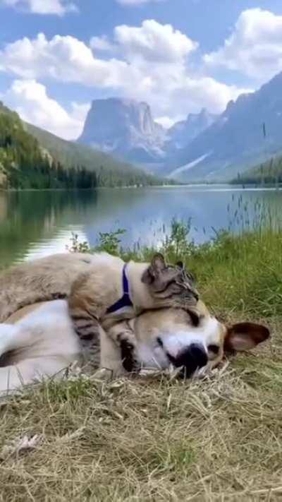 Life couldn’t get any better.