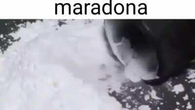 Maradona
