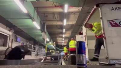 How Qantas treats peoples luggage