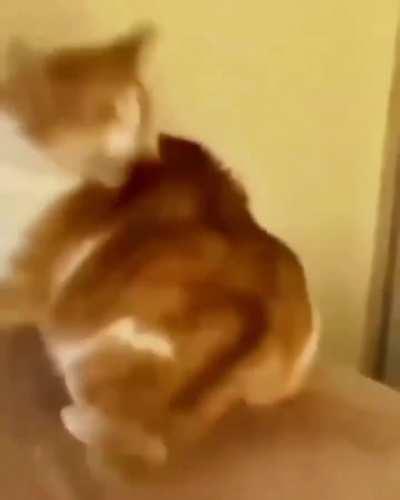 When you haven't had enough sleep, its Monday, and everything annoys you..