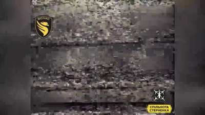 Ukrainian Regiment of Unmanned Systems Phoenix striking Various Russian Logistical Vehicles Belgorod Region