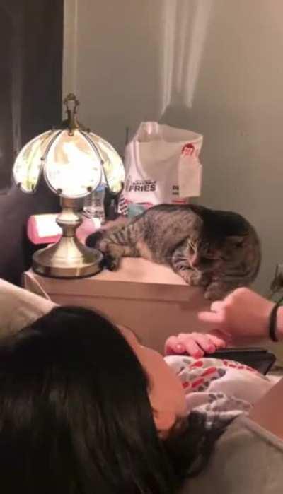 Удлинитель