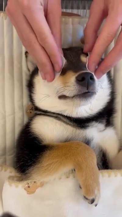 The full beauty routine, please