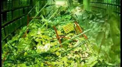 WCGW with this forklift