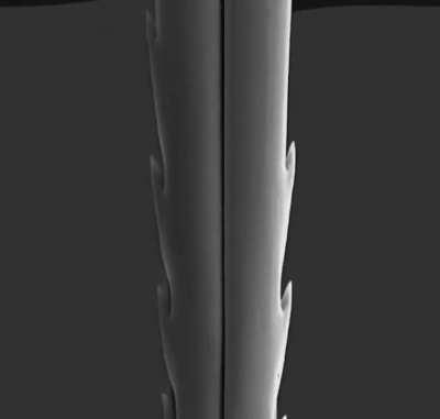 Getting Buttfucked By A Bee