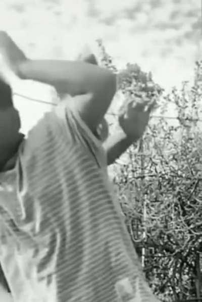 at least he wasn't wearing shoes