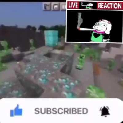 Ralsei if he played minecraft