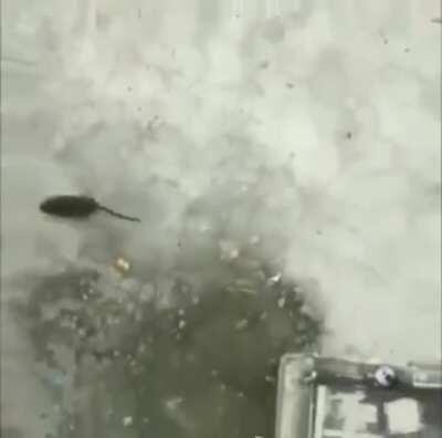 When I see my homie walkin down the street