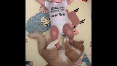 Kitten and tiny human best friends