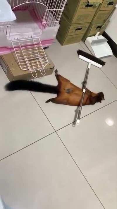 Номинация на лучшую актерскую игру