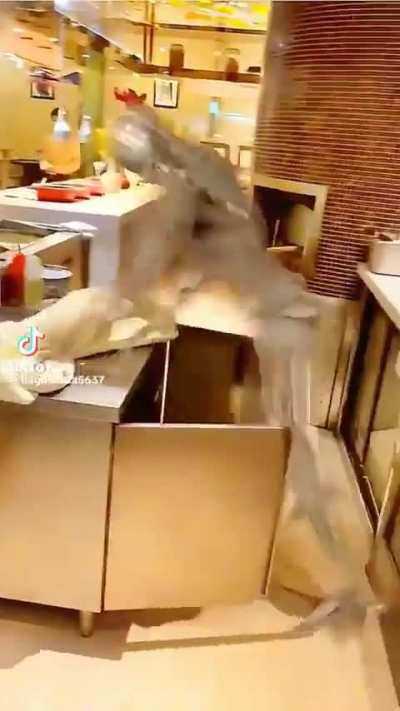 how y’all got these smut bots