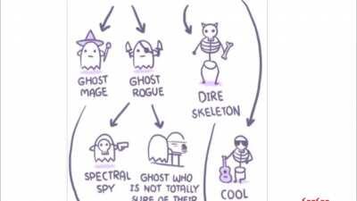 Ciclo della vita umana