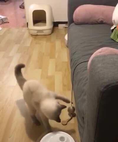 GET IT OFF!!! (u/cyan1618)