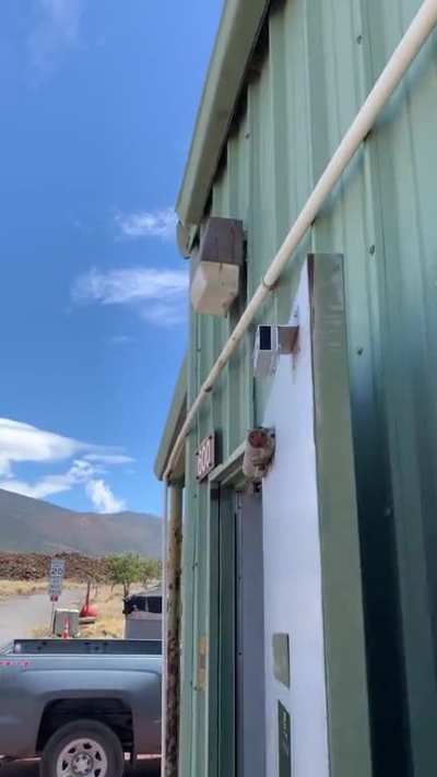 Plumbtrician spotted again!