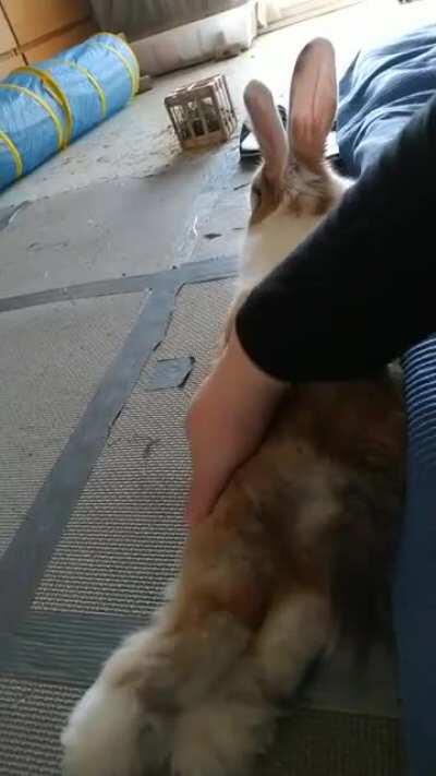 Quality time with my fluffy girl 😍