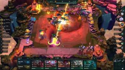 Golden squid exterminates some rats