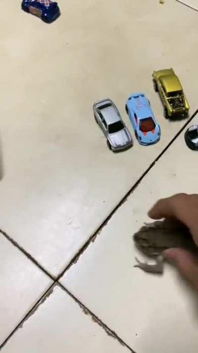 Mo pika esse hotwheels