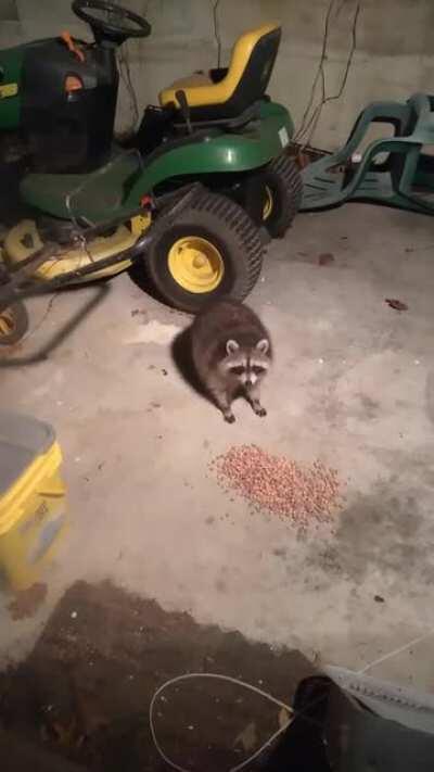 He likes reeses puffs