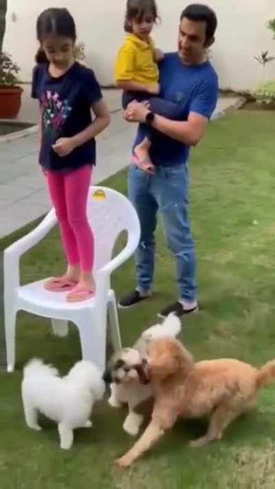 Gautam Gambhir Uploaded A Video On Instagram Calling His Dog Name Oreo. He Uploaded This Video After MS Dhoni Gave Credit To Oreo For Winning The 2011 World Cup.