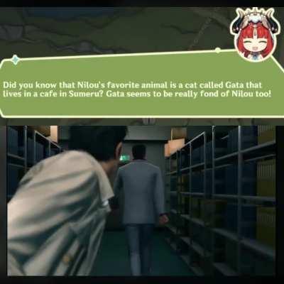 So the dogs weren't enough, ey?