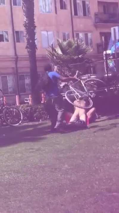 I thought the only bike making an appearance was the nice young lady...