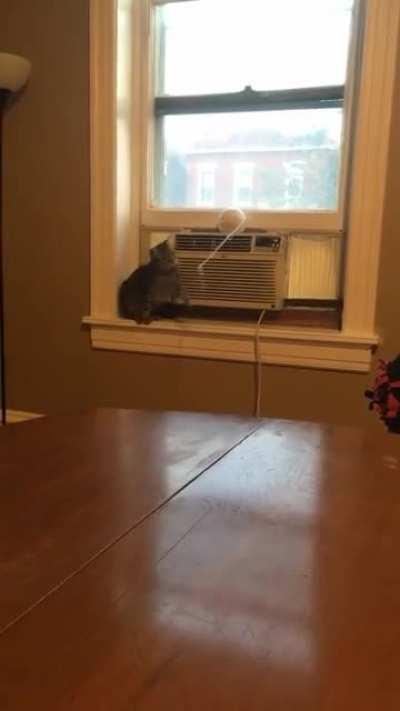 Successful yarn slap