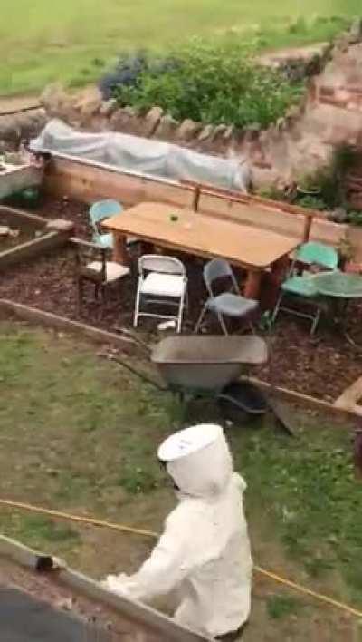 Helping the neighbor recapture his bees.