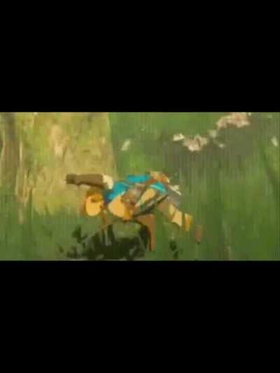 [BoTW] I found this gif please enjoy