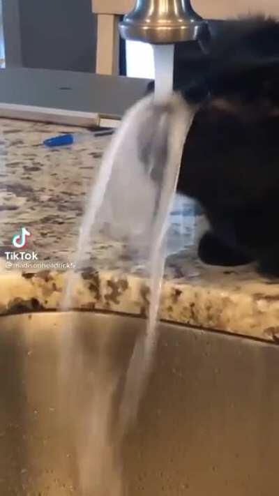 This water is so fresh!