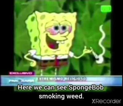 This is spongebobs month i guess