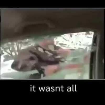 You get what you ask for...