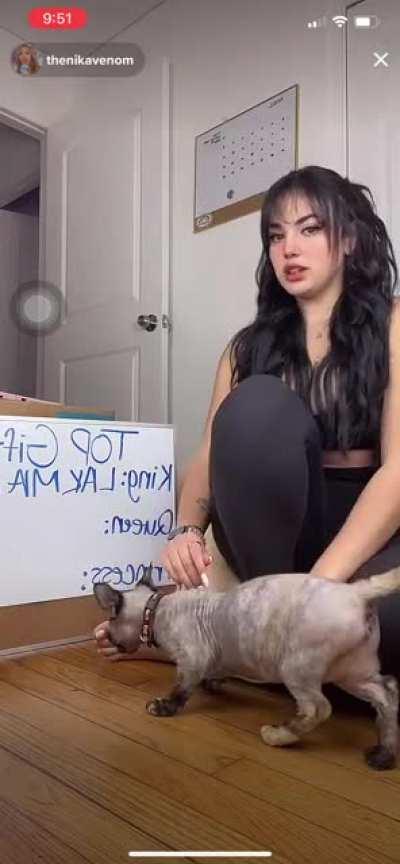 @thenikavenom live Pt 3