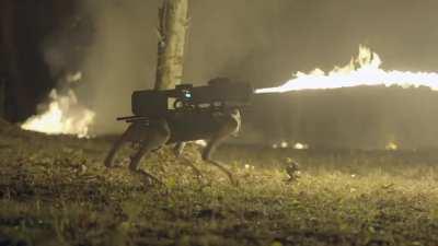 Ok which of you degenerates are behind this kickstarter?