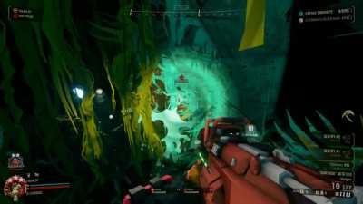 Guess I petted it too hard