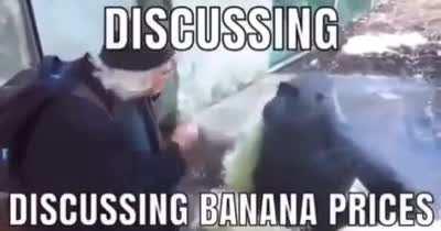 Mmm banana