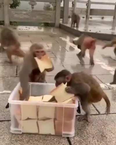 When I open a packet of chips