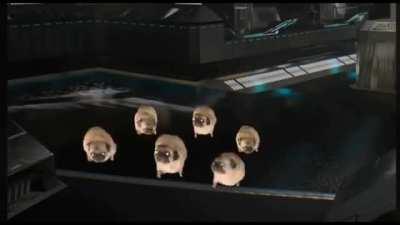 Watch Out, the popcorn are coming for you!