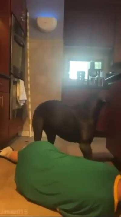 Here let me assist your suicide