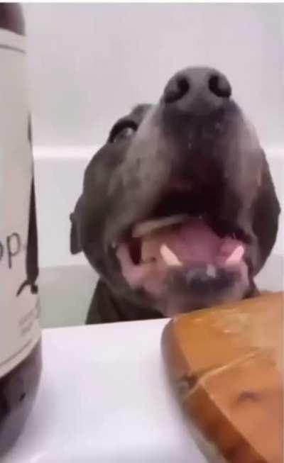 I want everything that this 🐕 Pits has