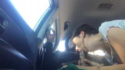 Sucking that big fat cock on the backseat