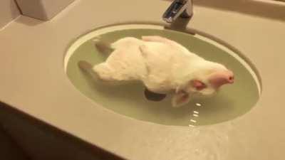 Enjoying the bestest of his Life!