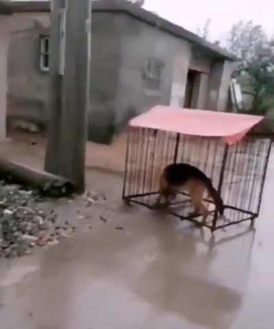 Free wind is the escape of the year ...