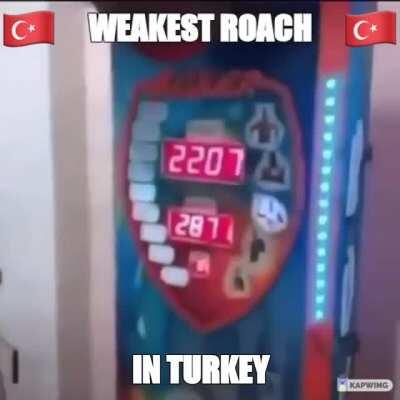 Weakest roach in Turkey 😎😎