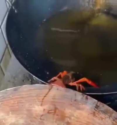 Dude chose an option between getting f*ed or getting fried