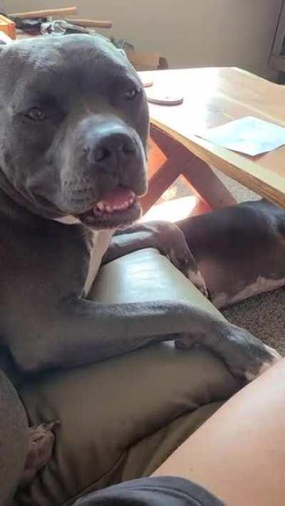 There's no winning with him