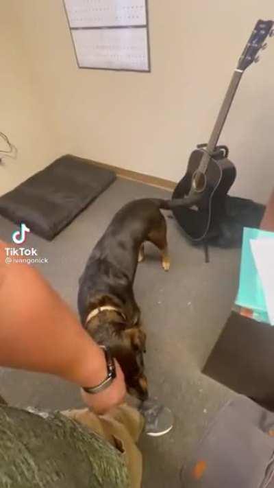 …and it was all yellow