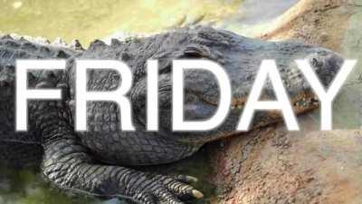 For anyone looking tomorrow I wish you a flat fuck Friday