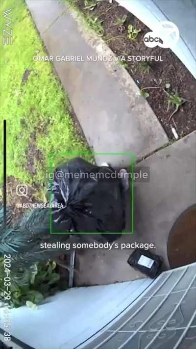 Sneaky bag grabbed that bag 