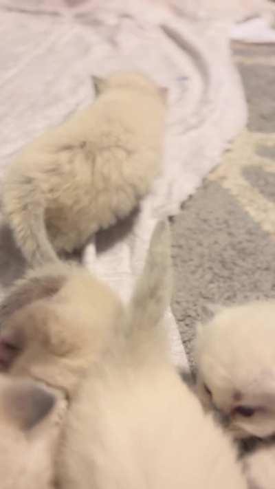 ☁️☁️☁️☁️☁️☁️☁️