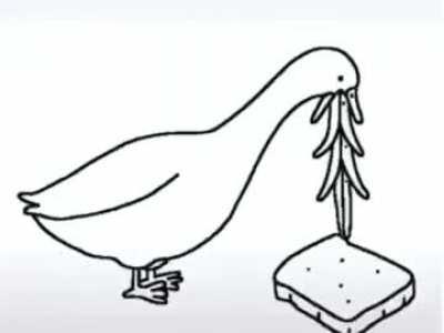 Thanks, I hate duck eating bread